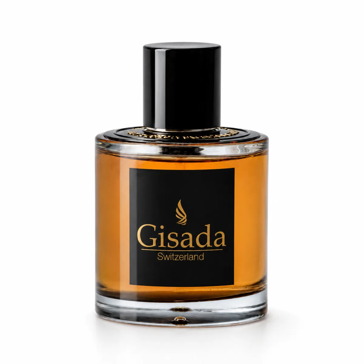 Gisada Ambassador For Men