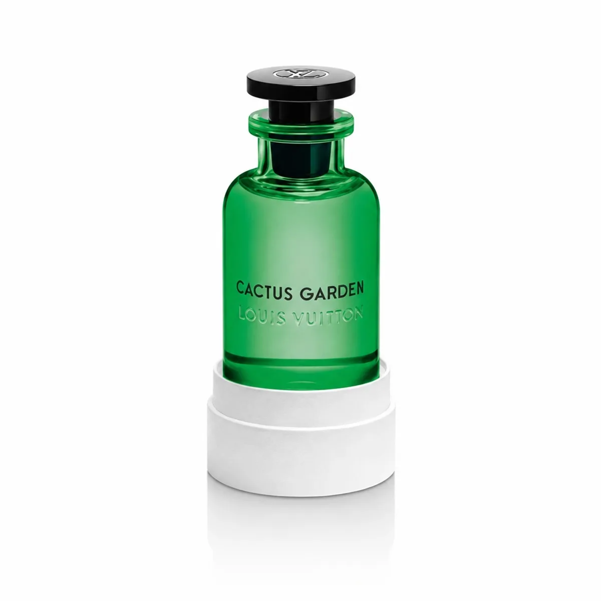 Louis Vuitton Cactus Garden