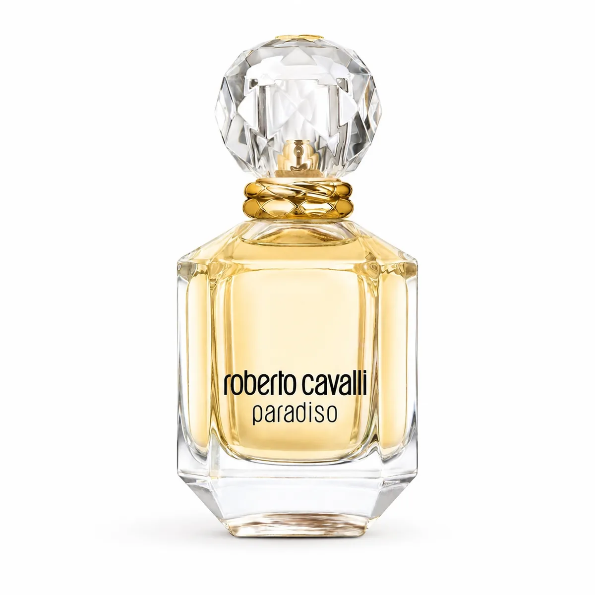 Roberto Cavalli Paradiso